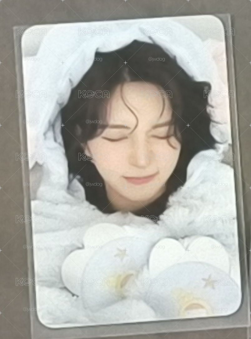 小飛象裴