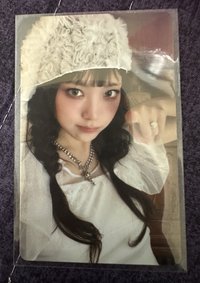 WVS PB預售燕