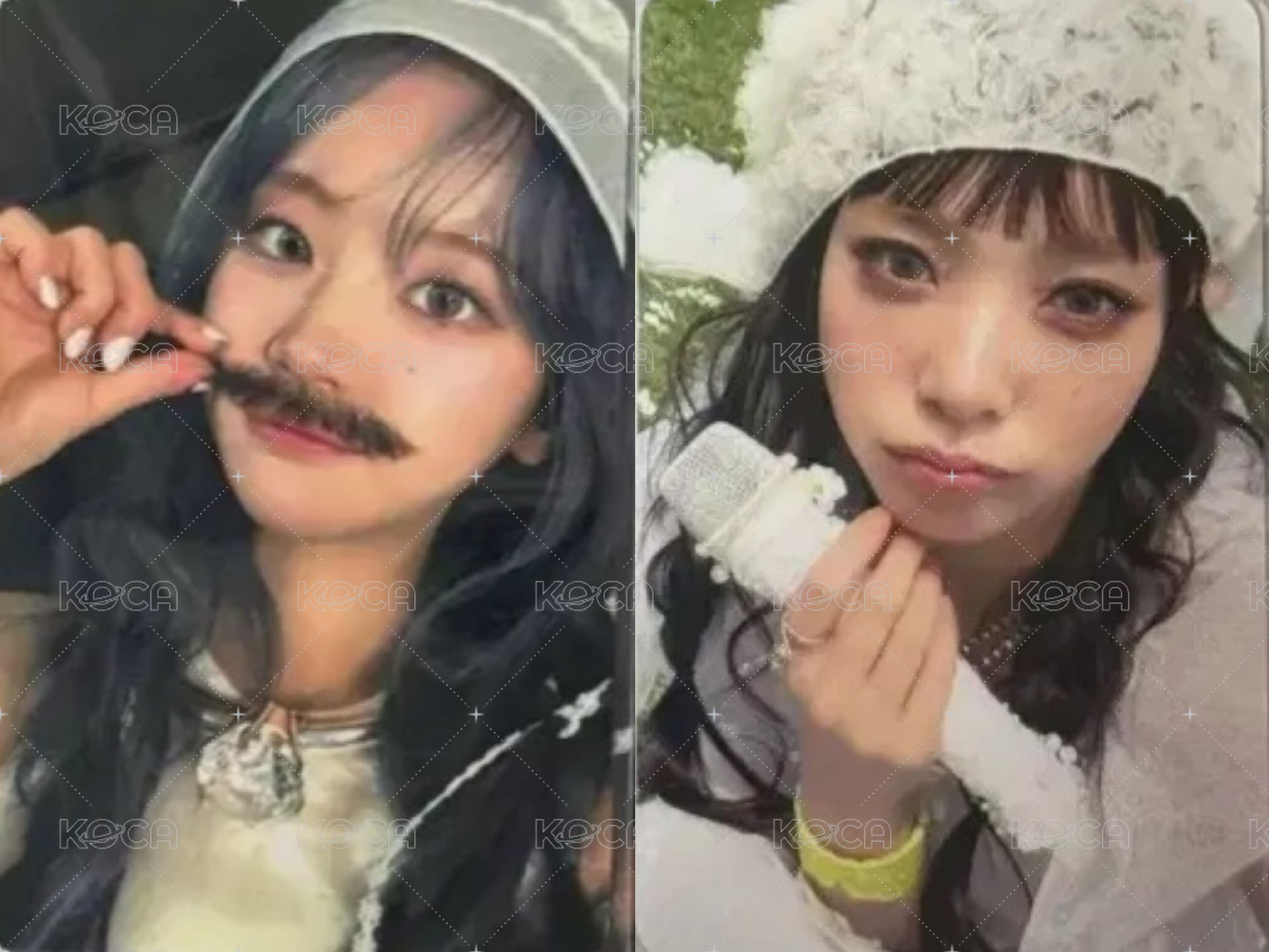 滿額卡丹燕