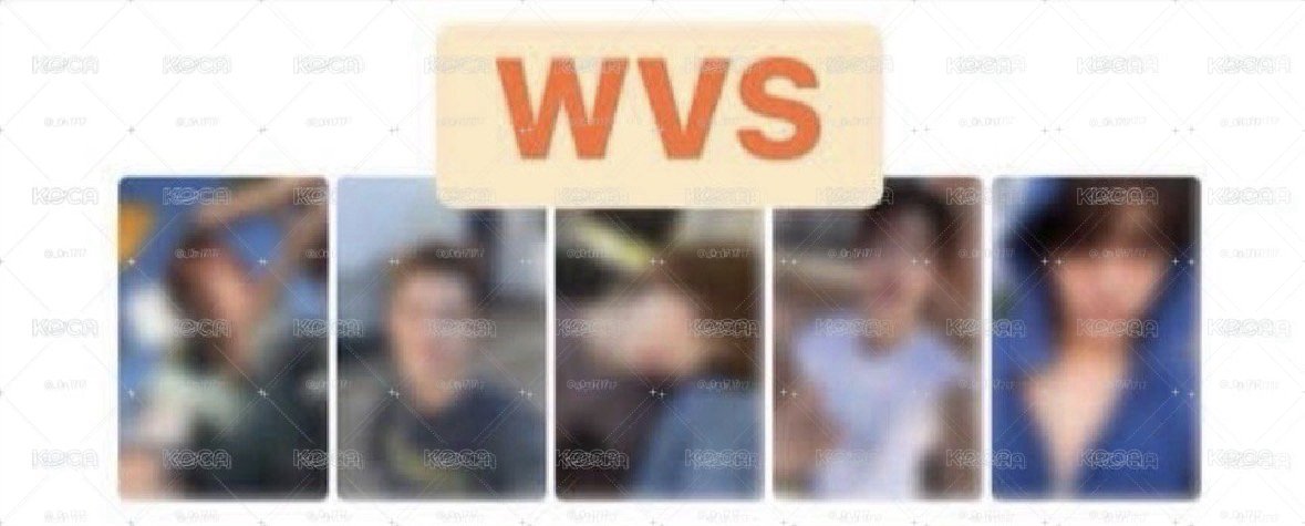 wvs訓