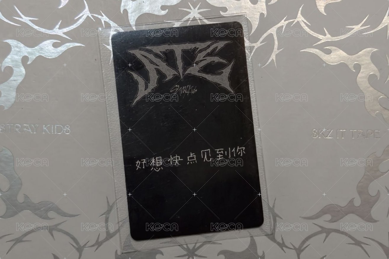 ATE KMS特典中背