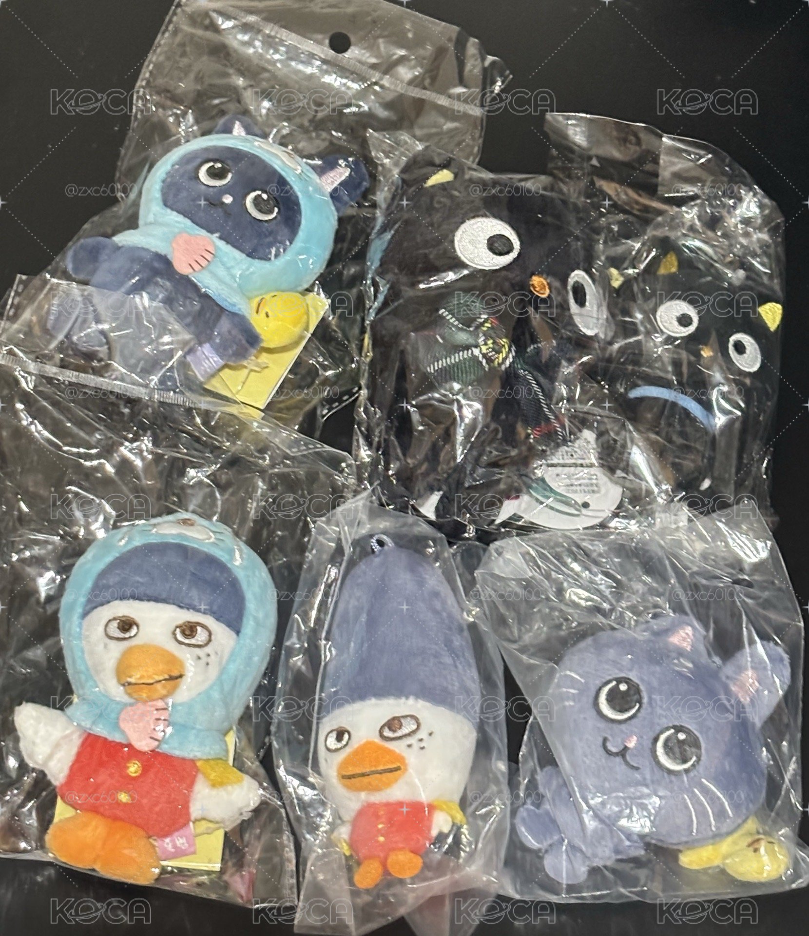 RIIZE 娃販售 巧克貓 在台現貨