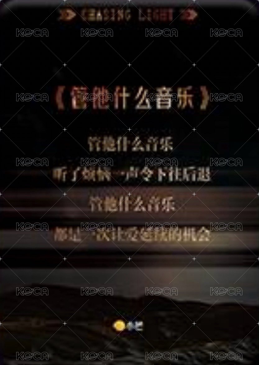 逐光典藏卡 SSR-2 熱赴新歲 隨機卡  背面