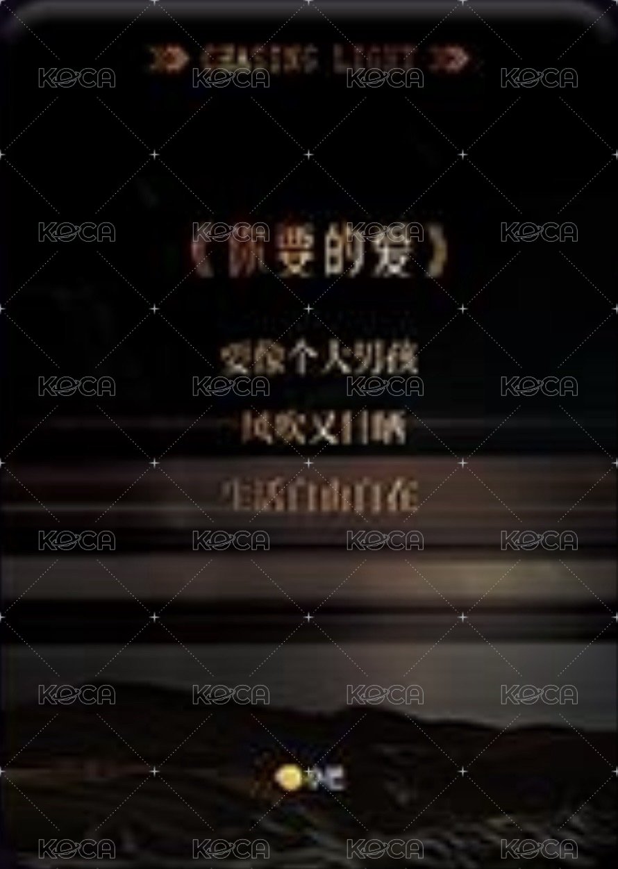 逐光典藏卡 SSR-2 熱赴新歲 隨機卡  背面