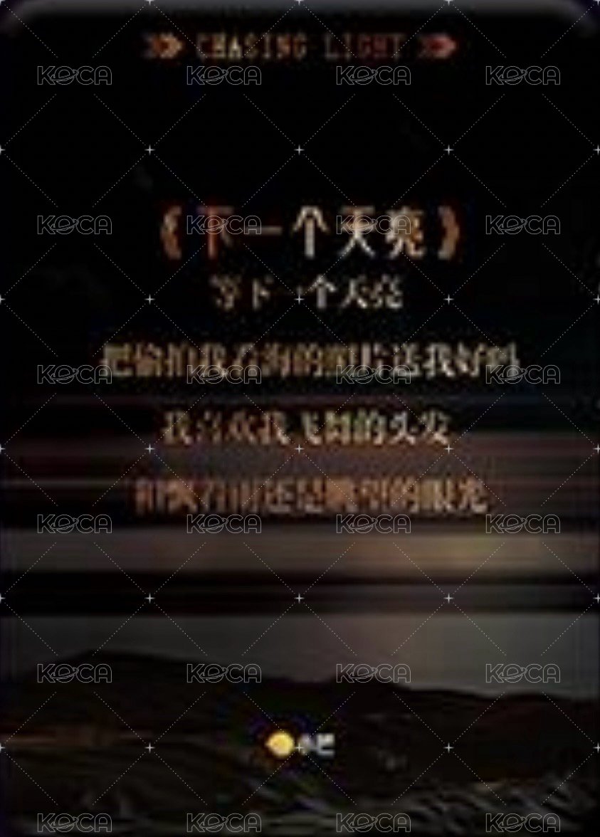 逐光典藏卡 SSR-2 熱赴新歲 隨機卡  背面