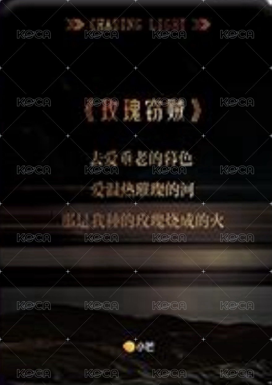 逐光典藏卡 SSR-2 熱赴新歲 隨機卡  背面