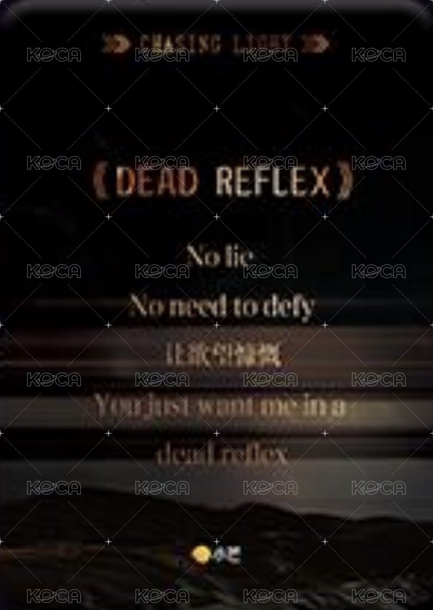 逐光典藏卡 SSR-2 熱赴新歲 隨機卡  背面