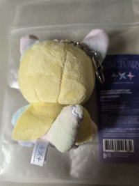 粉紅臉彩春小盤