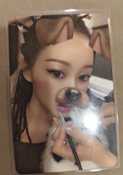 狗狗吉綁