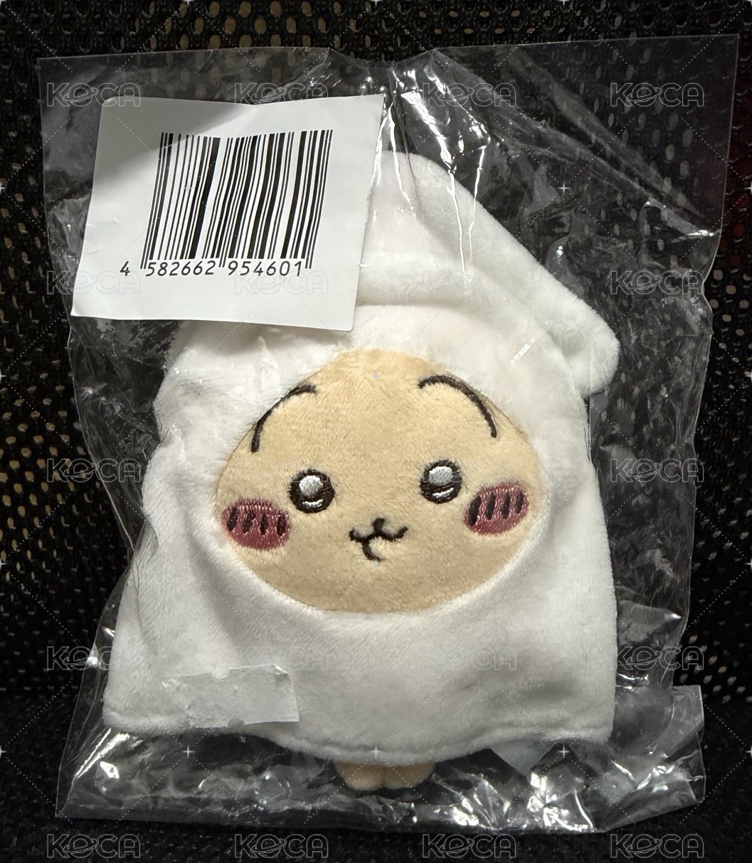 魷魚