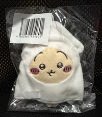魷魚