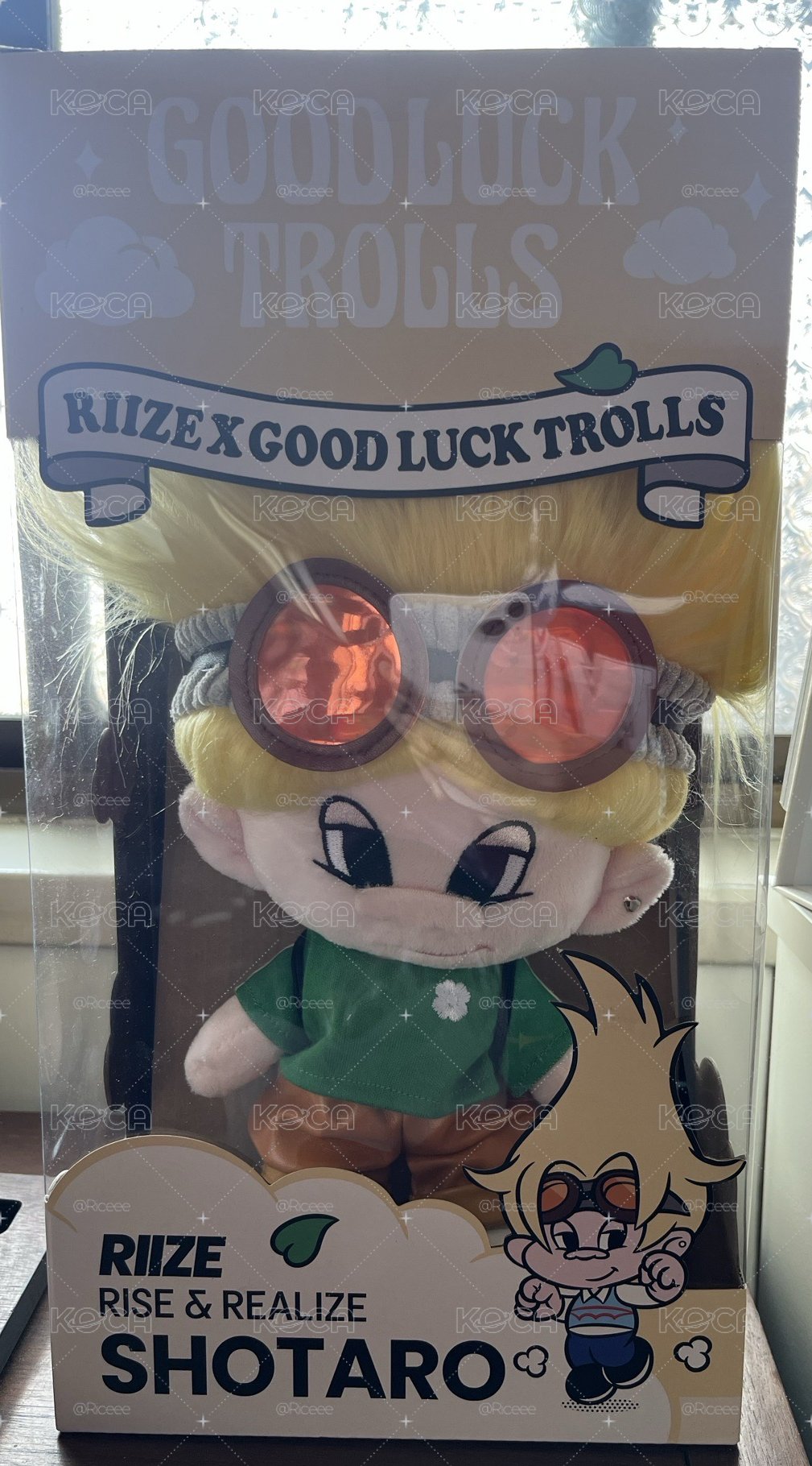 Shotaro 中娃 全新未拆