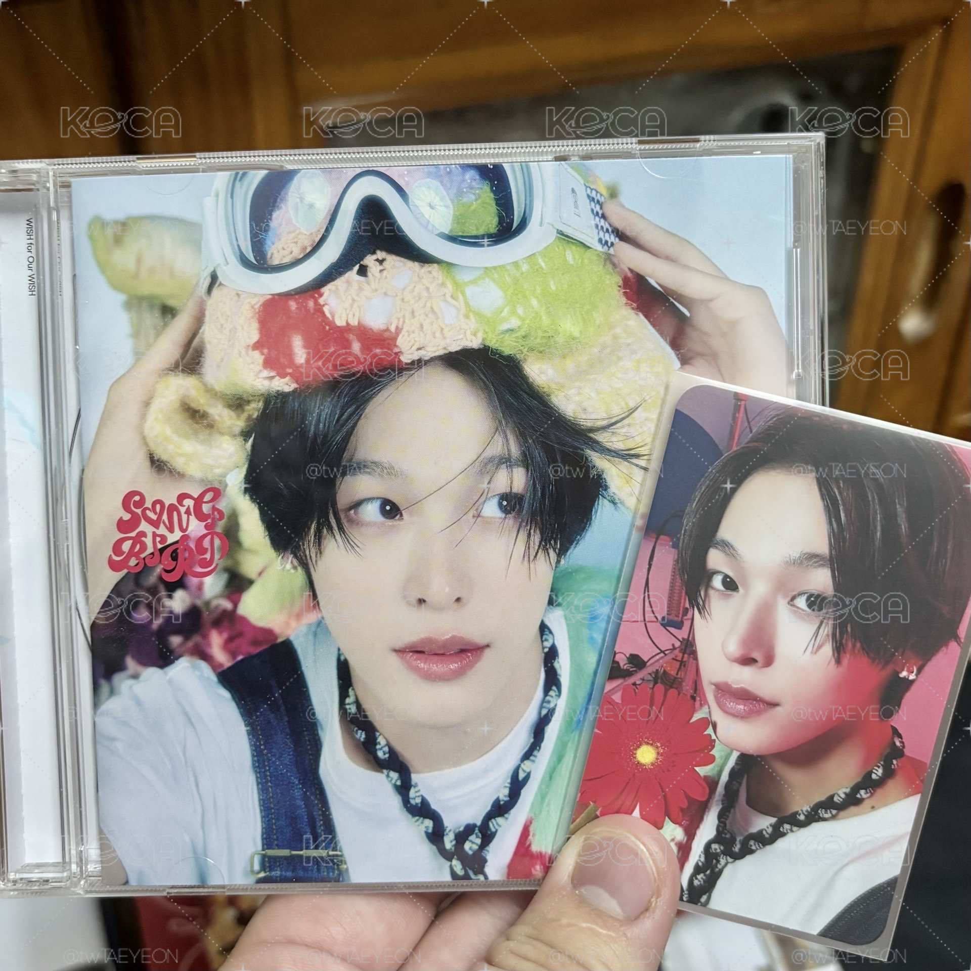 1元起標 Songbird日專Riku單封 全專