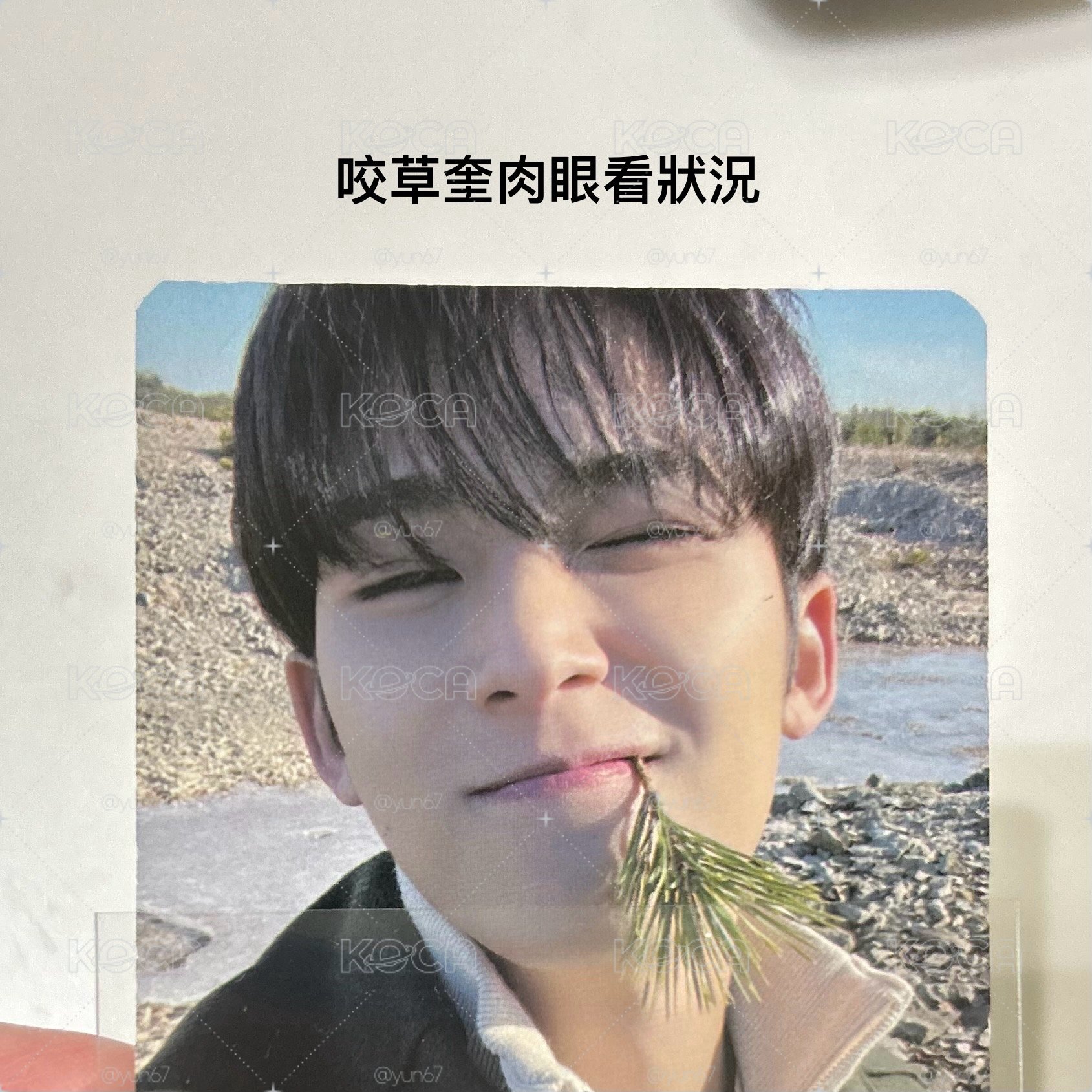 奎小卡（🍀需帶🌟）