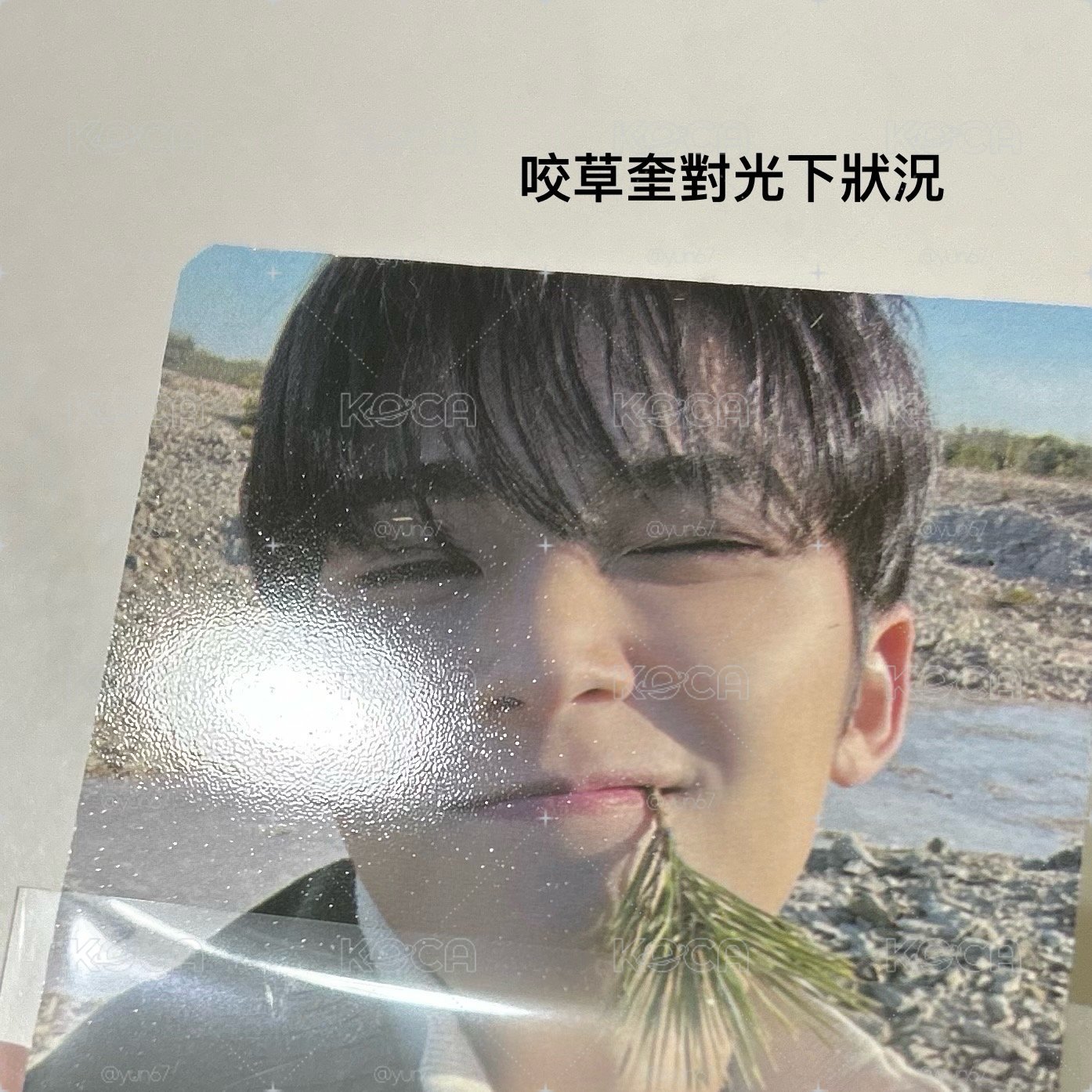 奎小卡（🍀需帶🌟）