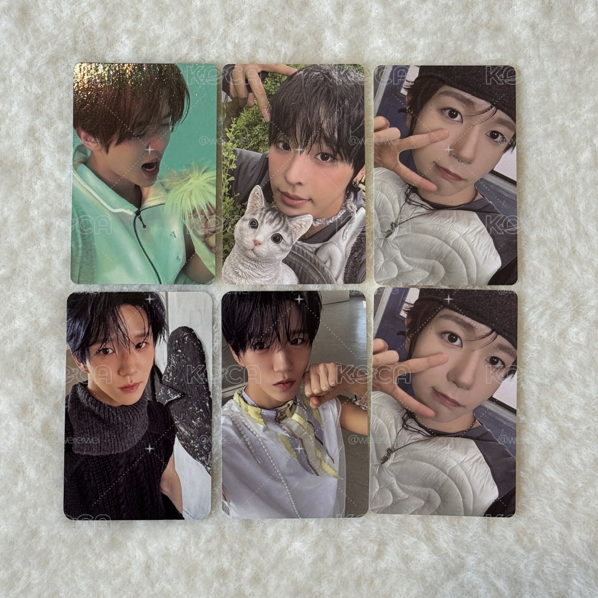 NCT WISH 專卡