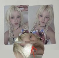 辮子琦