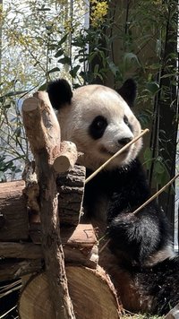 7678