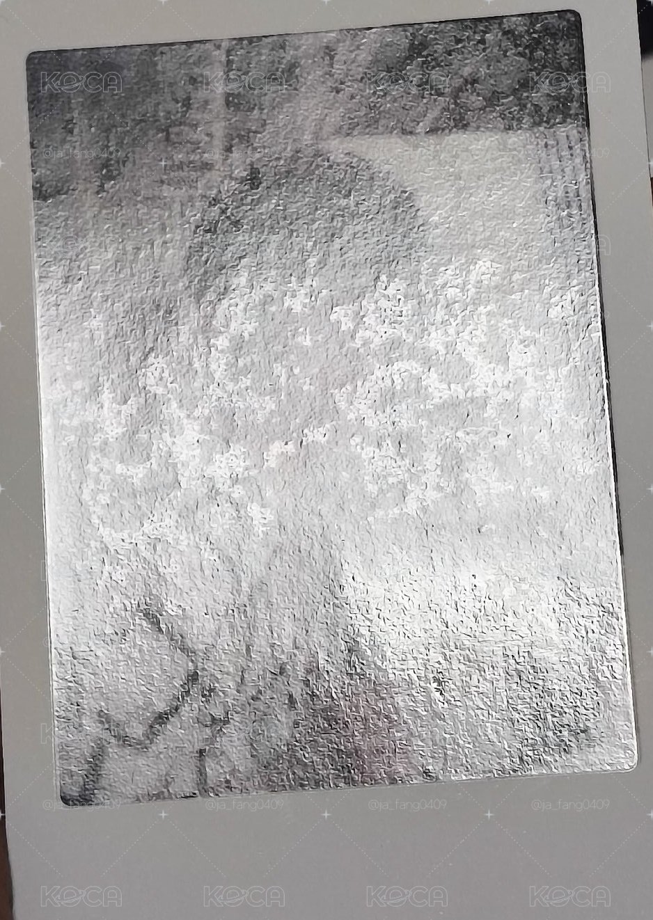 哲拍立得