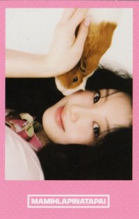 MAMIHLAPINATAPAI wvs 預售 特典卡 PAW PAW ver.