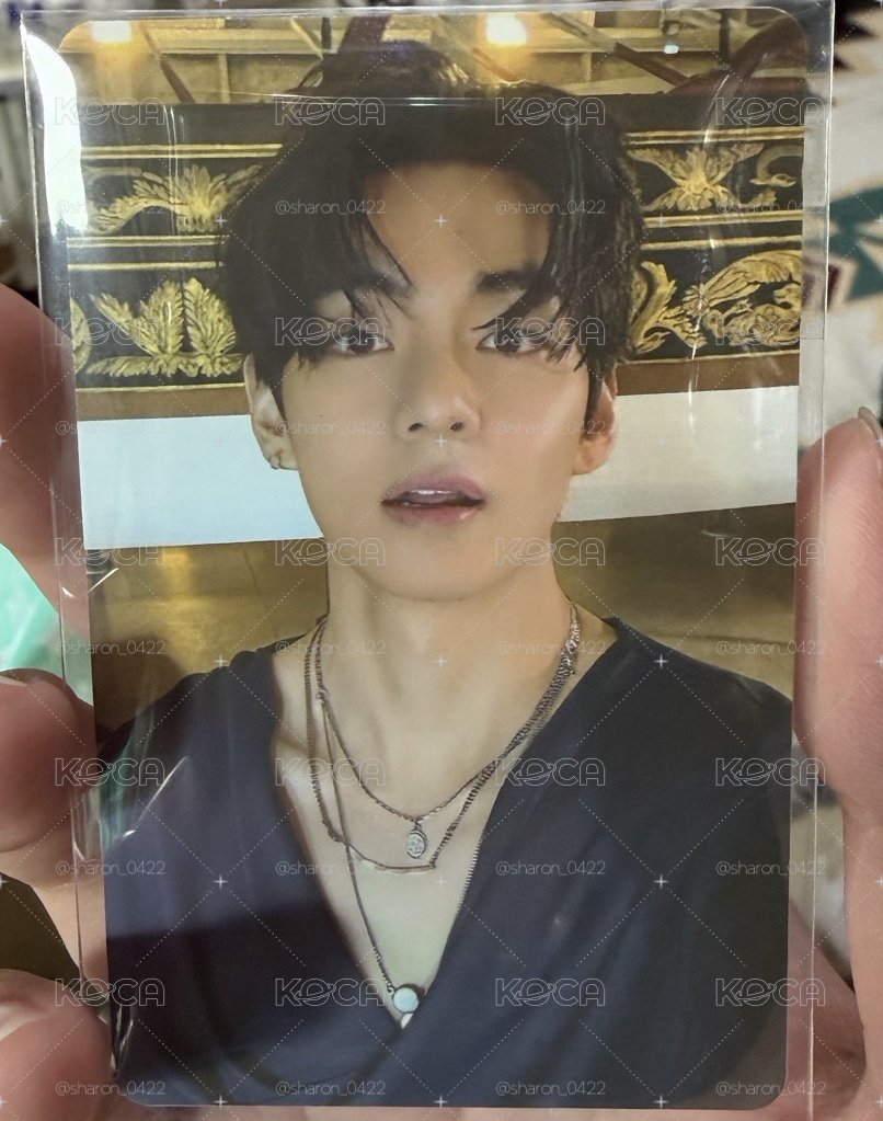 高陽場限泰+wm泰