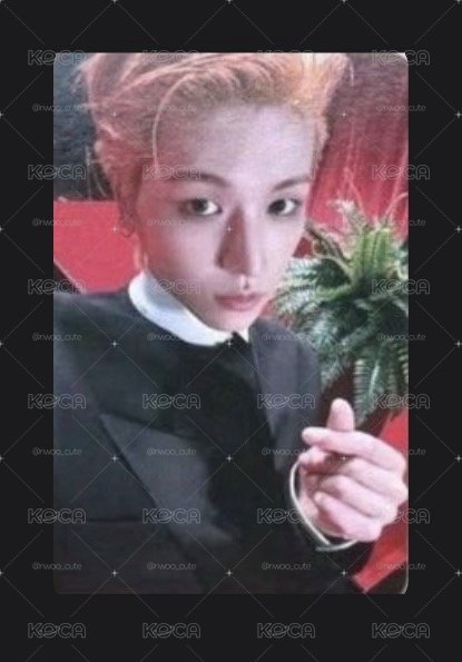 🏠哩嗚小卡
