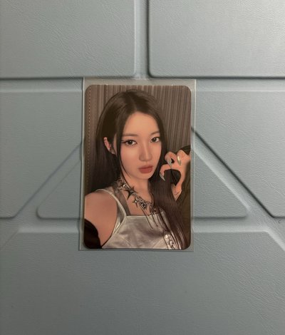中背紗專區