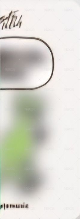 SET BY US ONLY am 4.0線上 簽售卡 恐龍 背面