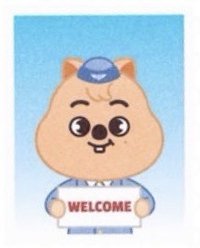 SKZOO 全球快閃店 入場卡 / 場限卡 證件照