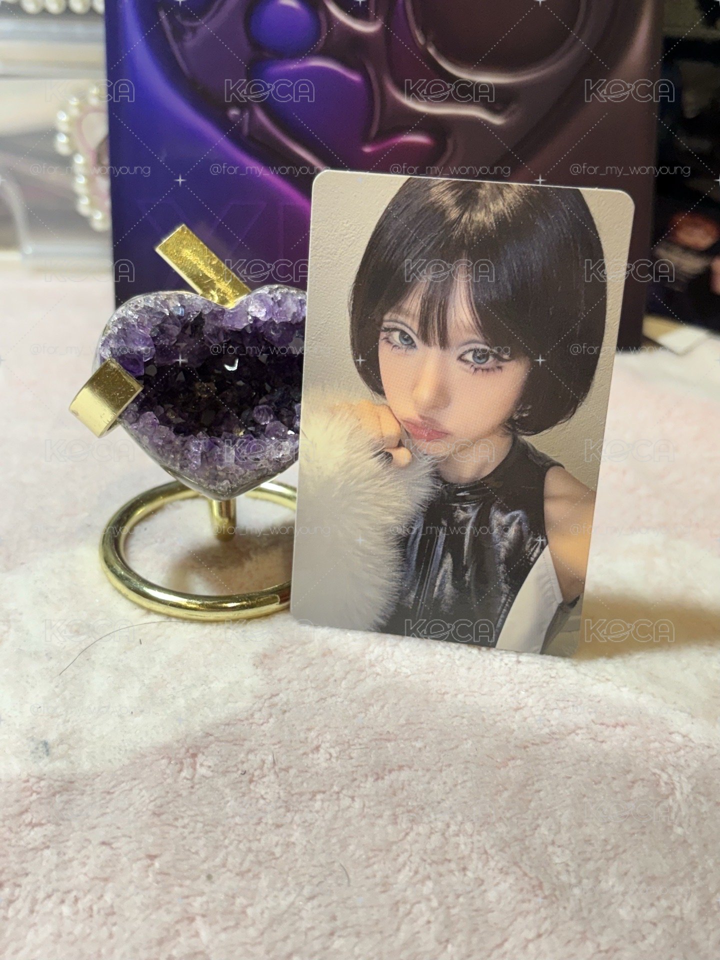 ｜Yena｜崔叡娜黑鵝造型（三張一套）