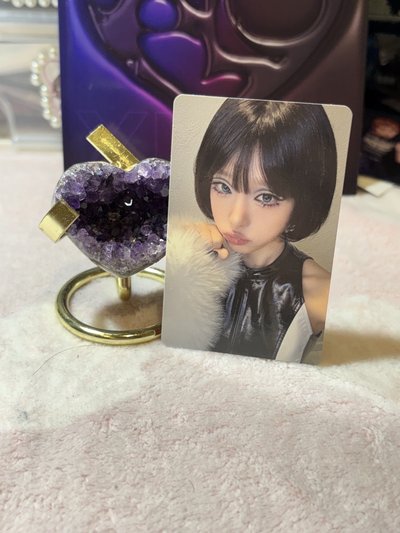 ｜Yena｜崔叡娜黑鵝造型（三張一套）