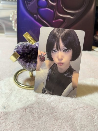 ｜Yena｜崔叡娜黑鵝造型（三張一套）