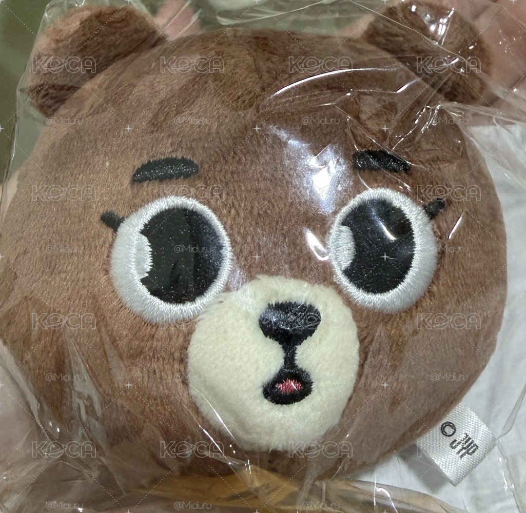 DAY6 日周 🐻大頭吊飾