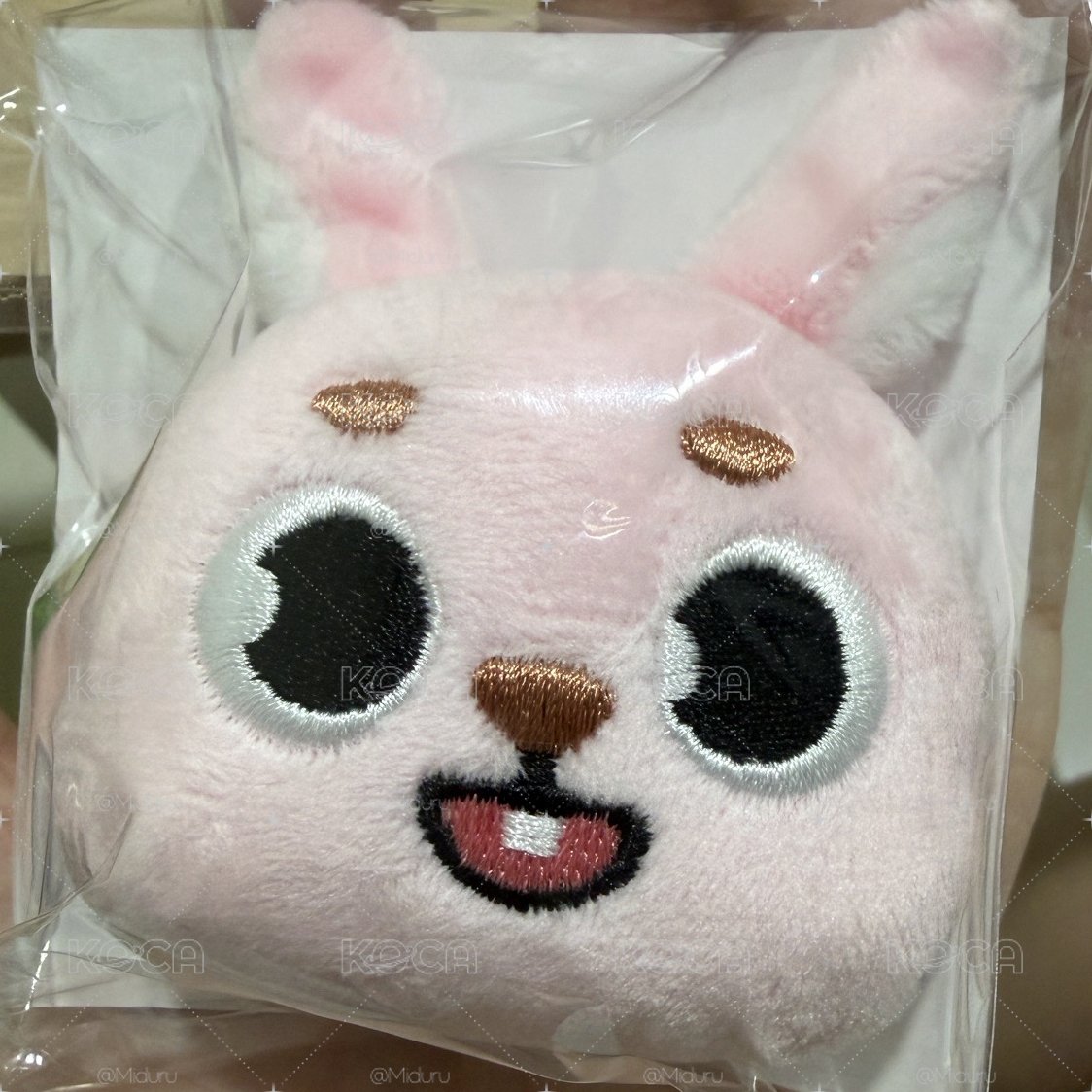 DAY6 日周 🐰髮夾