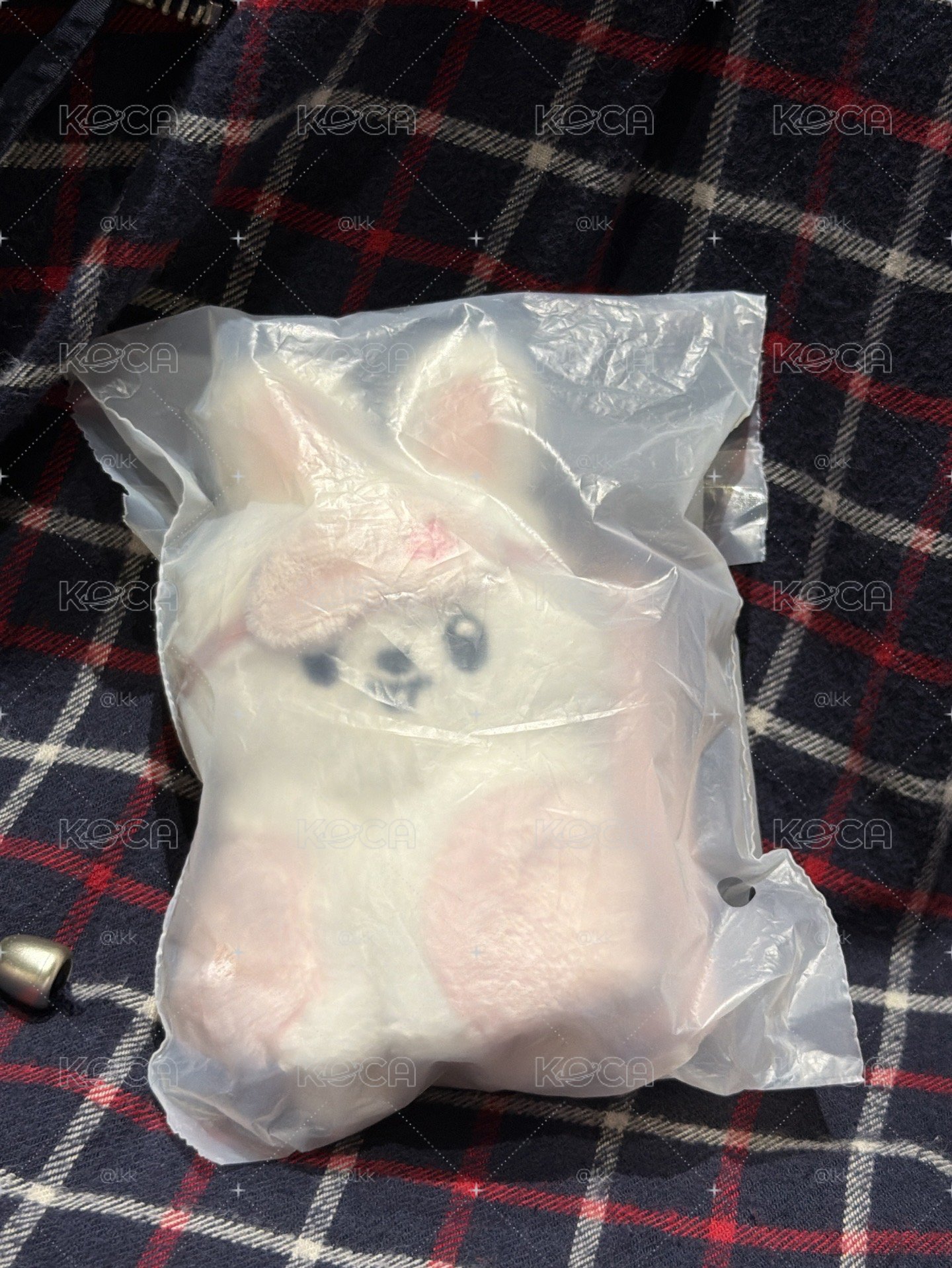 ㄆㄧㄚˊ眼畢
