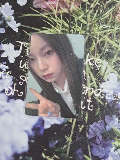 法官圭