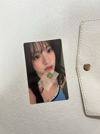 🩵幸運草賢直出