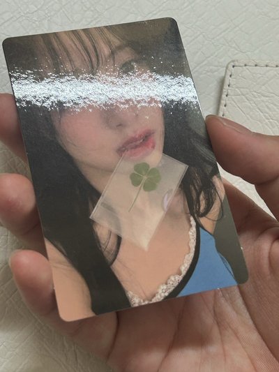 🩵幸運草賢直出
