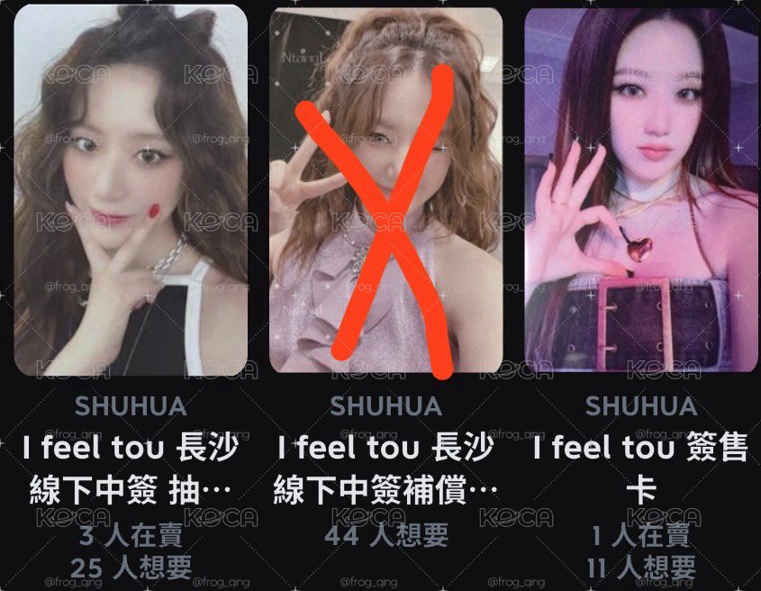 葉舒華全中背圖鑑