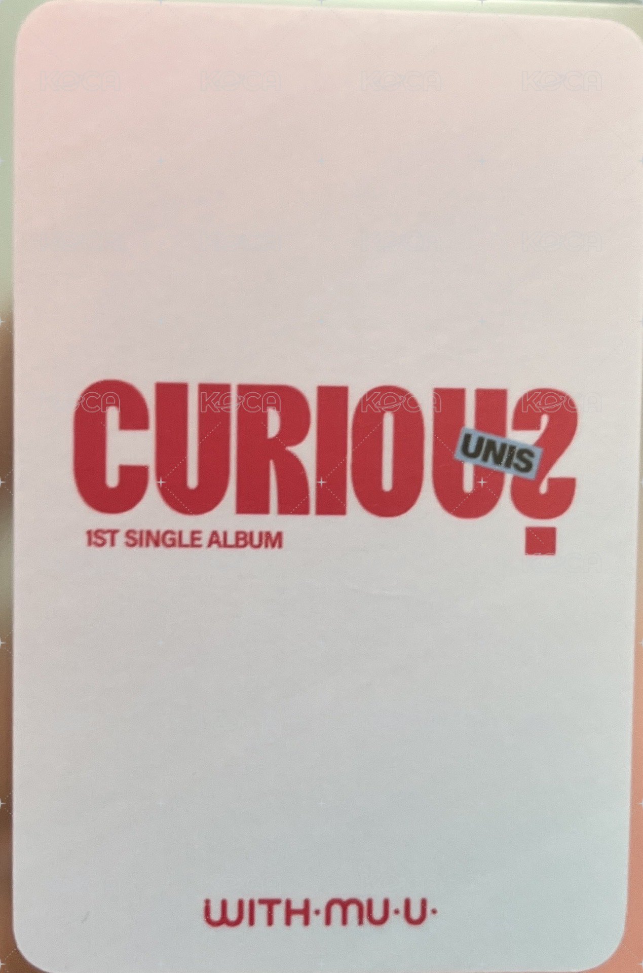 CURIOUS wm 特典卡  背面