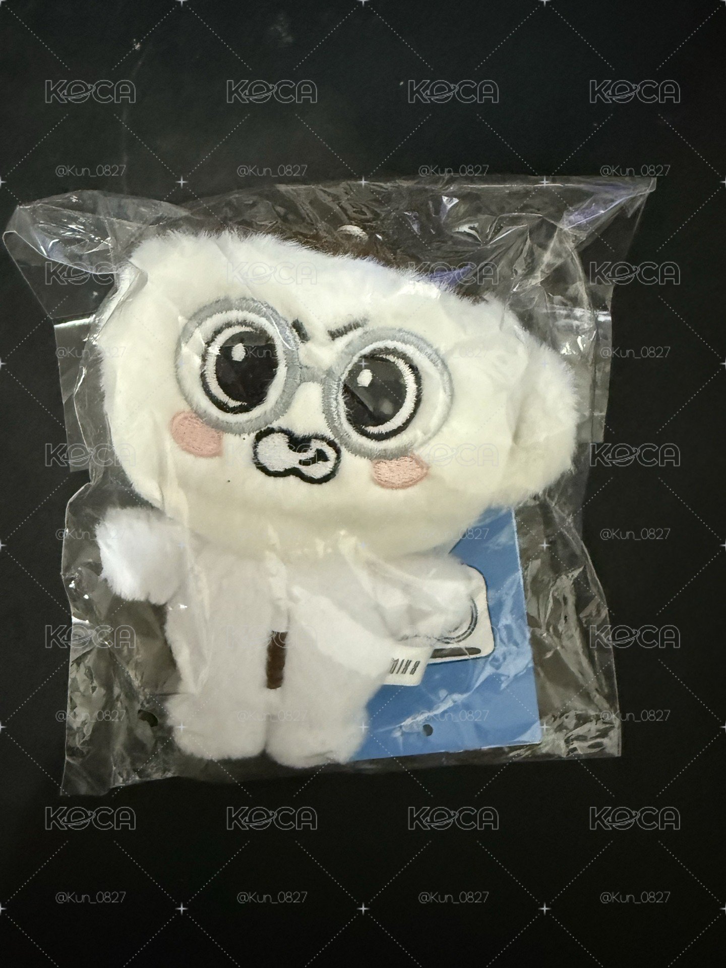 薛球衣小盤