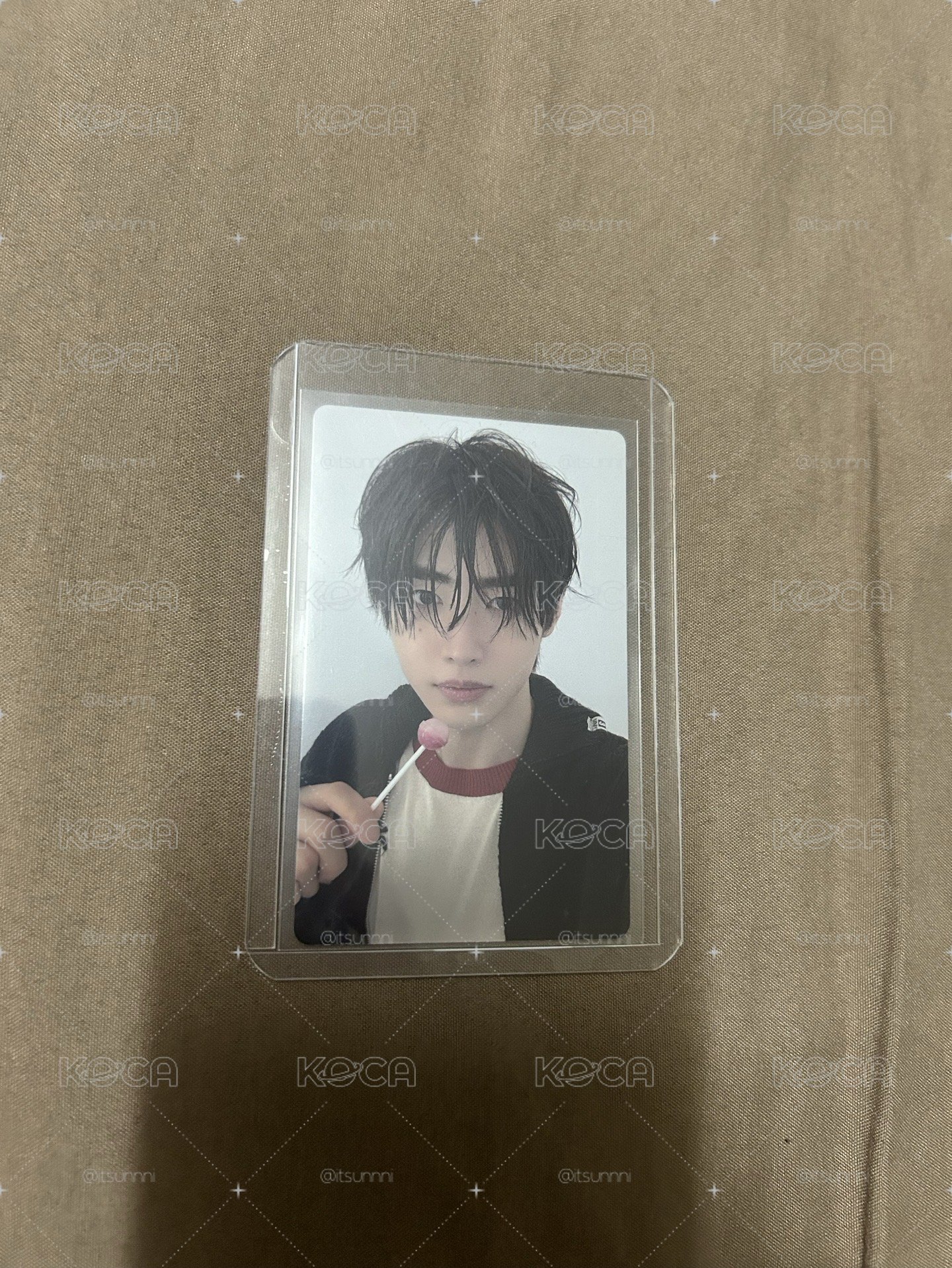順毛男孩