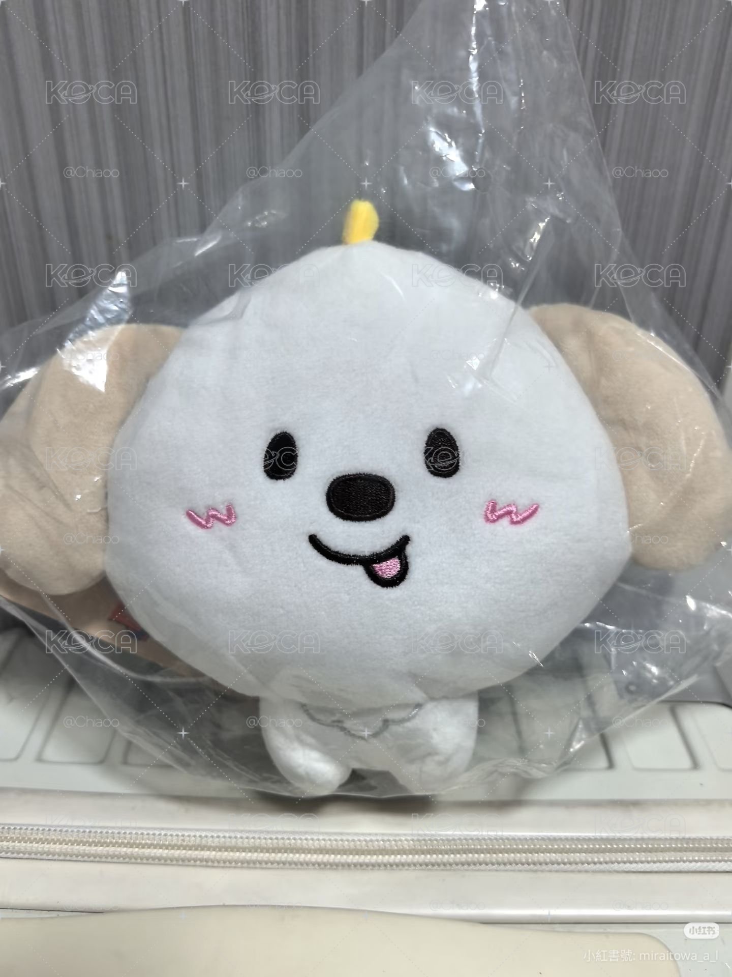 狗龍大頭零錢包