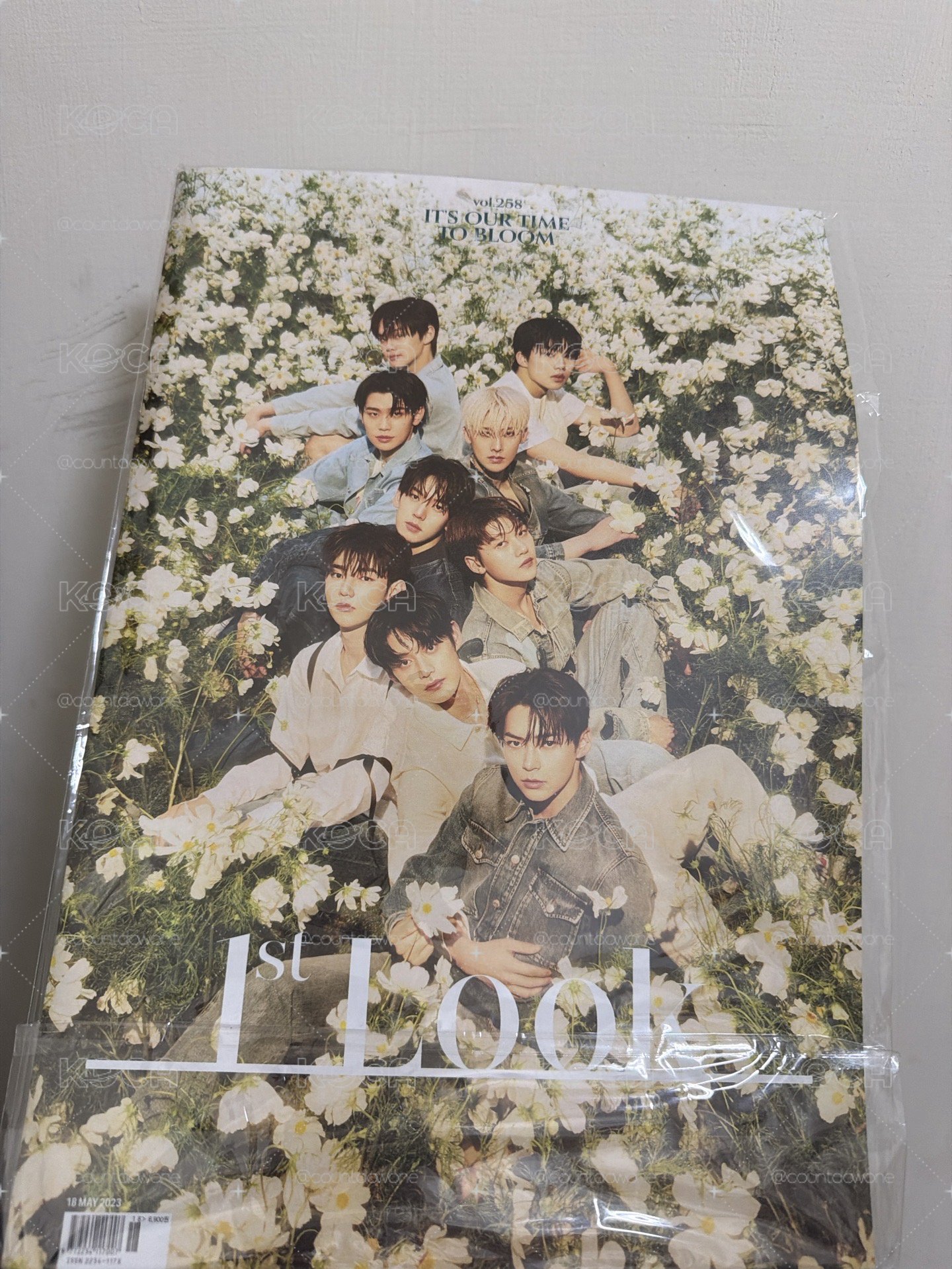 雜誌