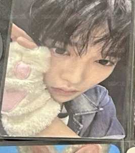貓爪