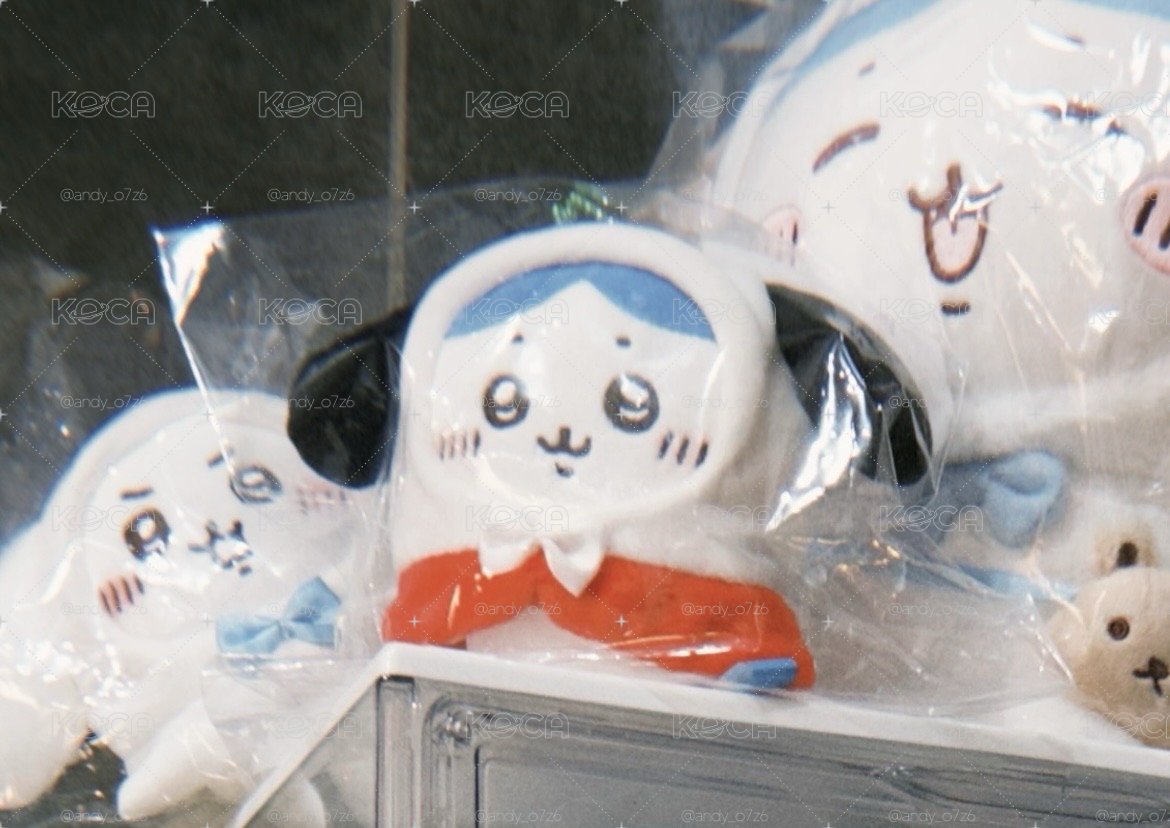 帕恰狗小八