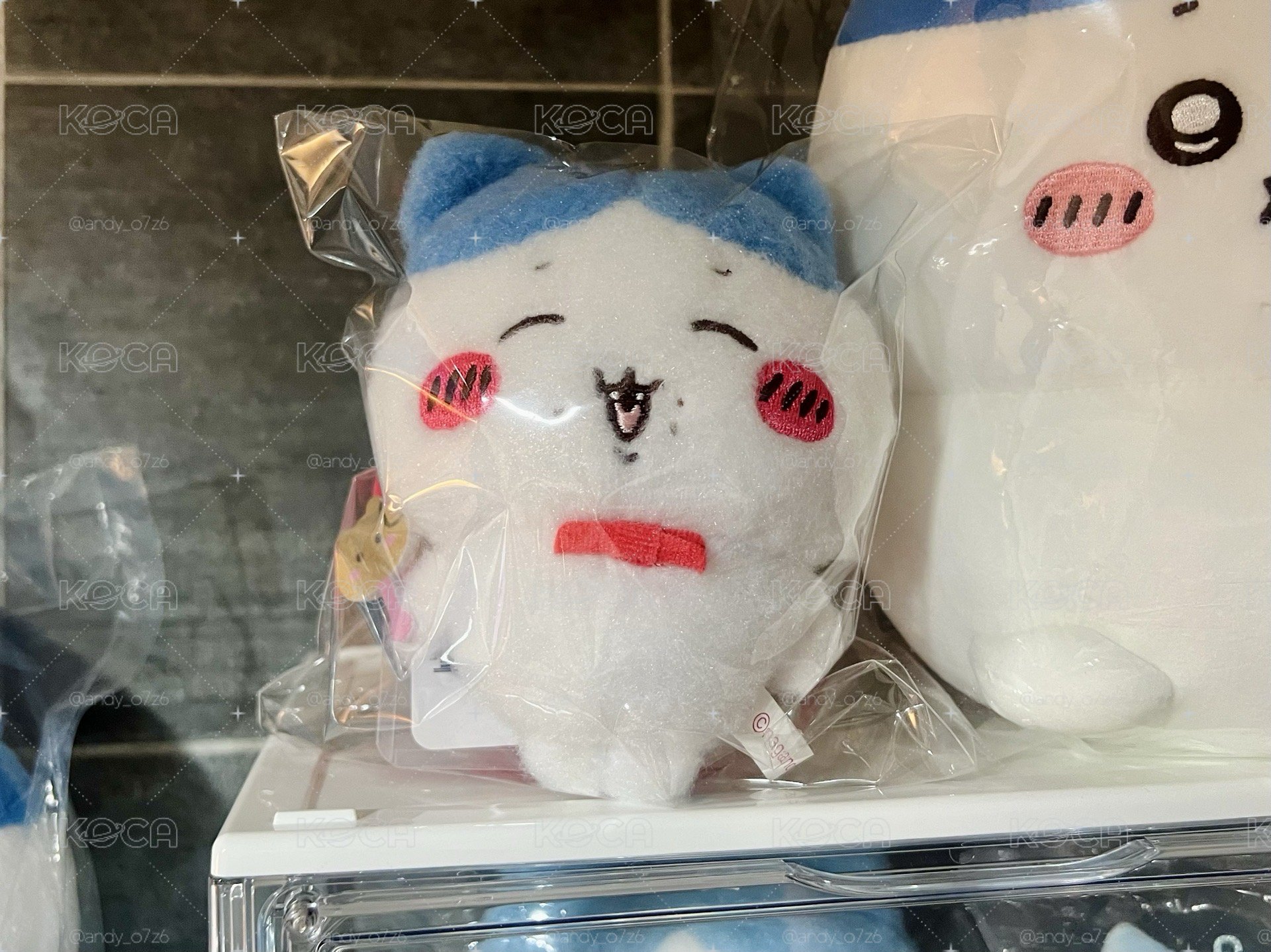 情人節小八