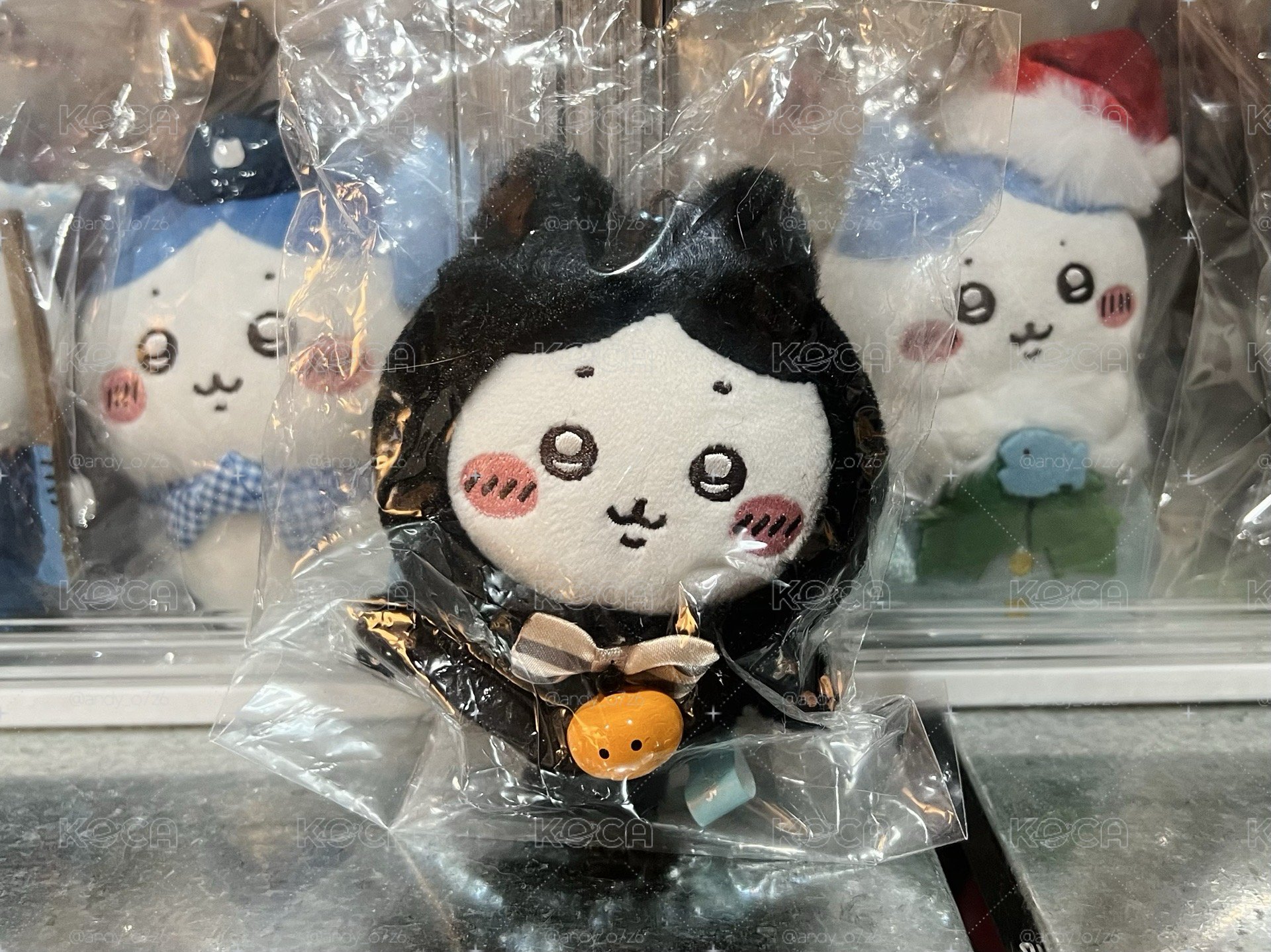 黑貓小八
