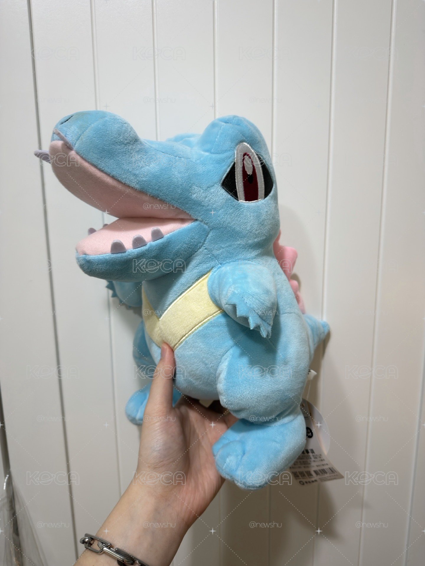 小鉅鱷 呱呱呱