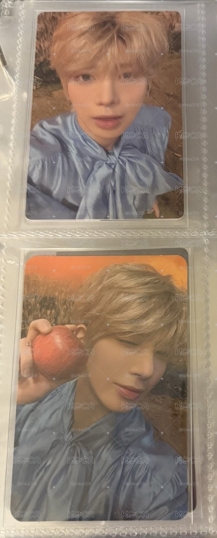迷六